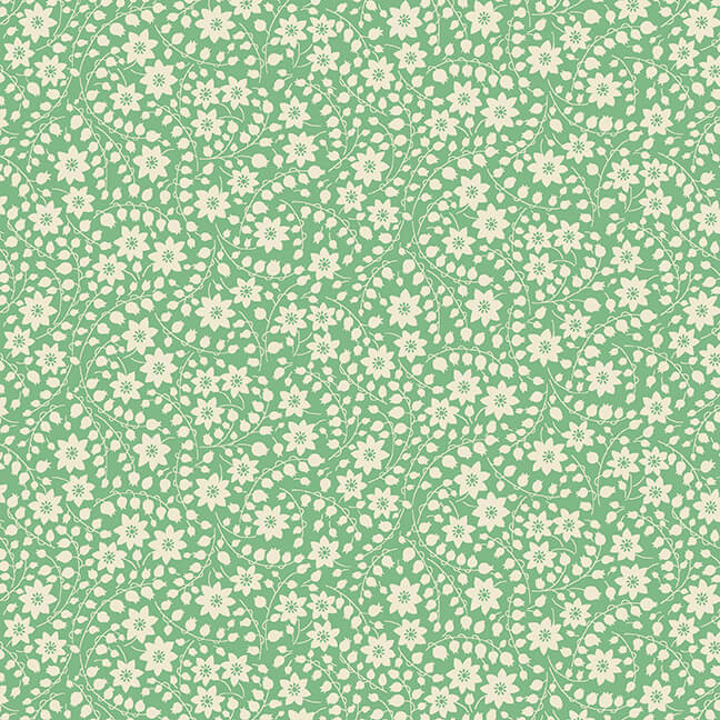 NANAMAE6 || 366-66