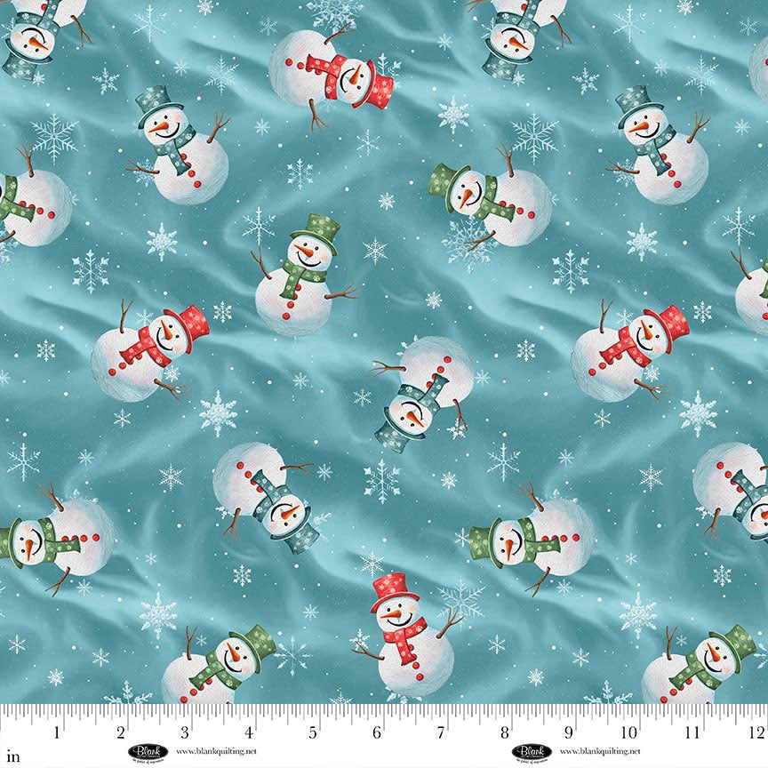 4157-67 Aqua || Comfort & Joy