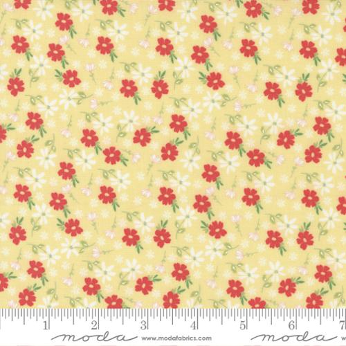 37631 14 Emma Blossom       Sunny Yellow