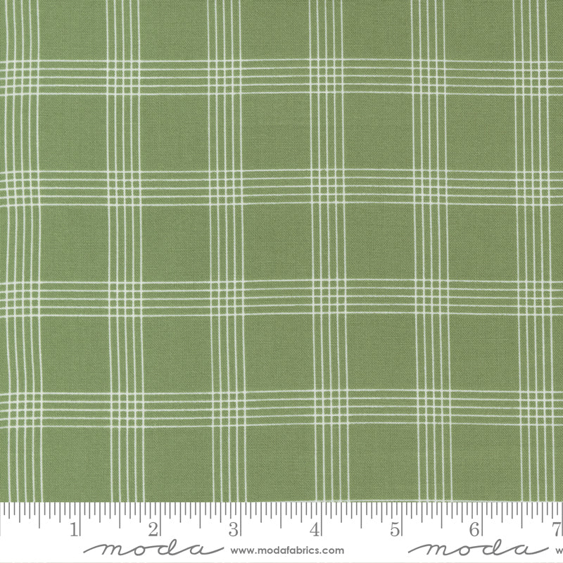 55262 16 Nantucket Summer          Grass