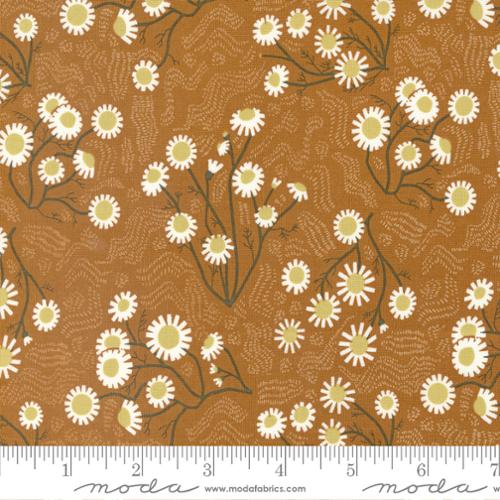 48372 19 Quaint Cottage             Soil