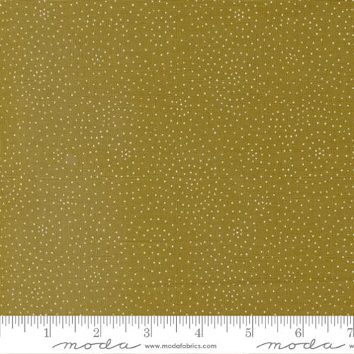 48376 14 Quaint Cottage           Lichen
