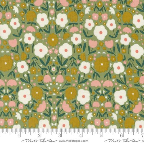 48382 12 Imaginary Flowers          Sage