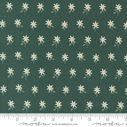 48384 16 Imaginary Flowers        Spruce