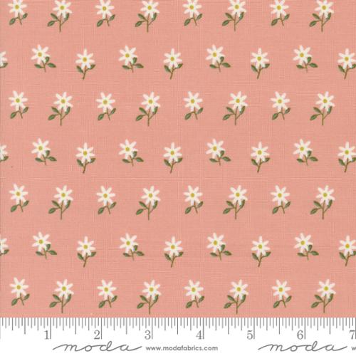 48384 18 Imaginary Flowers       Blossom