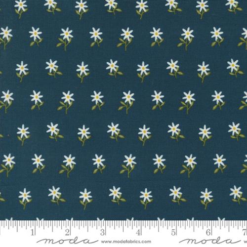48384 20 Imaginary Flowers      Midnight