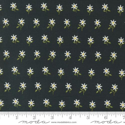 48384 21 Imaginary Flowers         Ebony