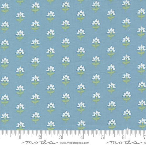 55301 12 Shoreline            Light Blue