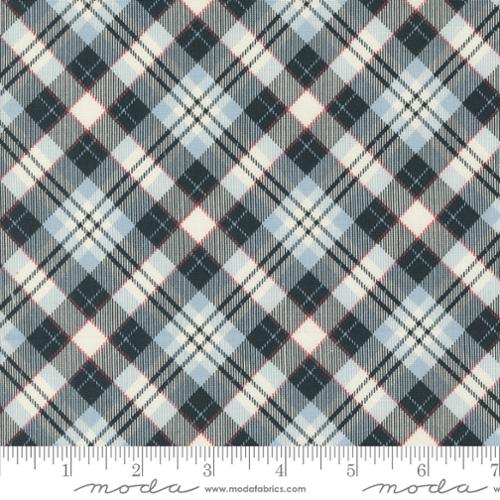 55664 24 On Dasher Plaid           Frost