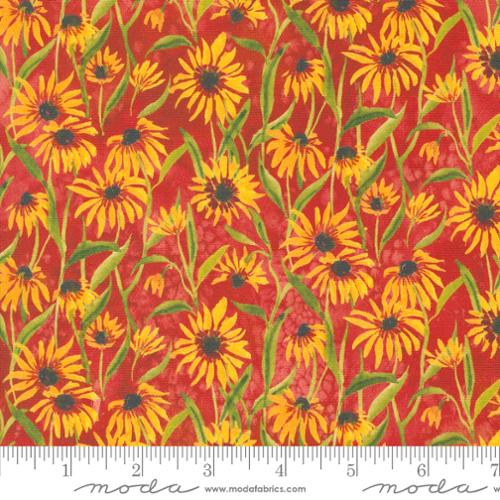 39805 14 Floribunda                Spice