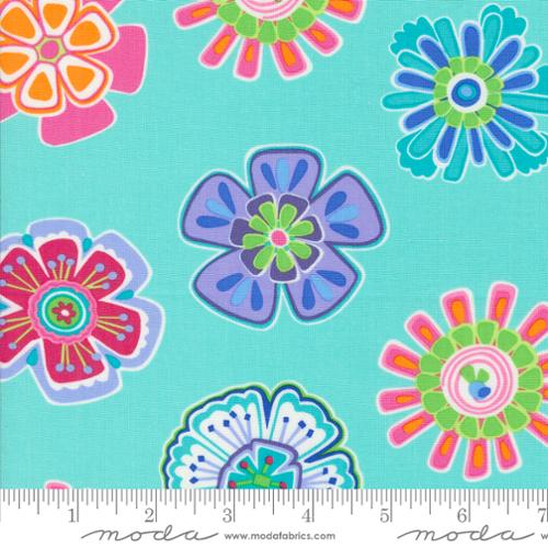 22470 23 Fiesta                     Aqua