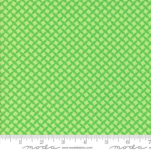 22475 20 Fiesta                  Limeade