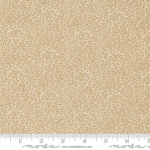9779 11 KT Favorites BG       Dandelion
