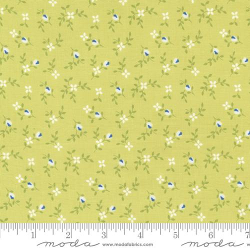 29192 38 Cali Co Light Lime