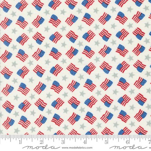 56113 11 Red White Bloom Dasiy White