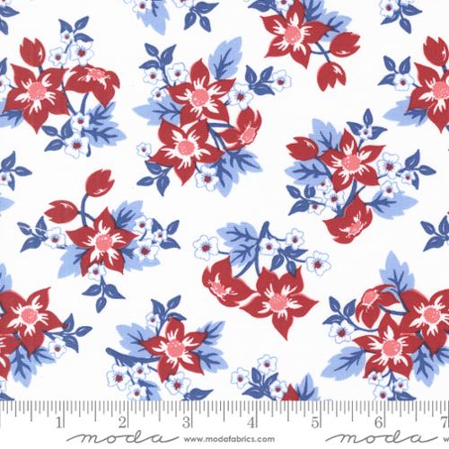 24170 11 Star Spangled         Patriotic