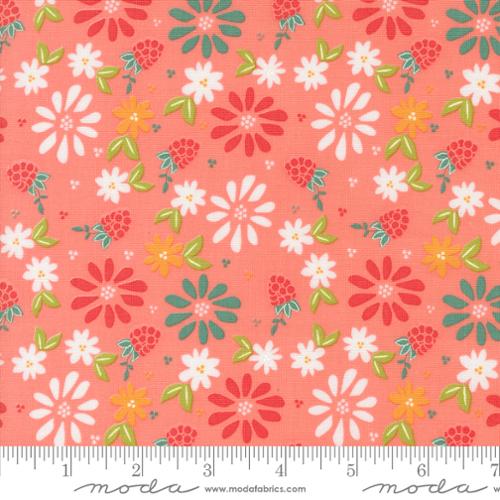 37690 12 Raspberry Summer      Carnation