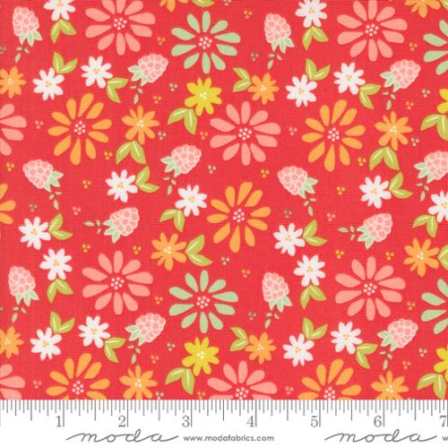 37690 13 Raspberry Summer      Raspberry