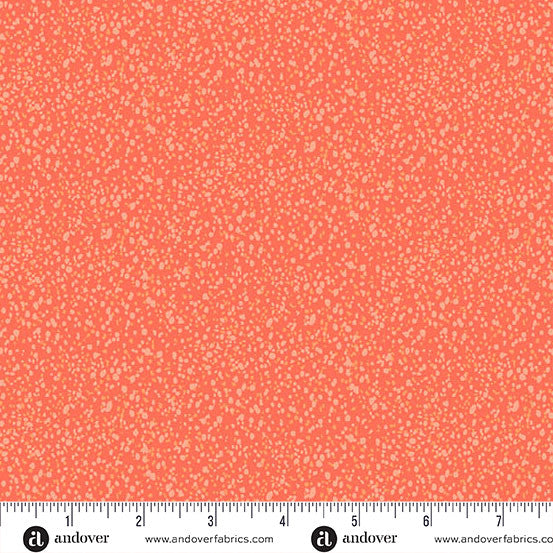 A-1424-O3 || Freckles 2 || Freckles Coral