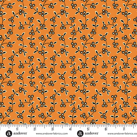 Midnight Moon A-1530-O Pumpkin Vine