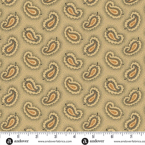 A-5314-K CAROLINA BY JO MORTON Paisley Black