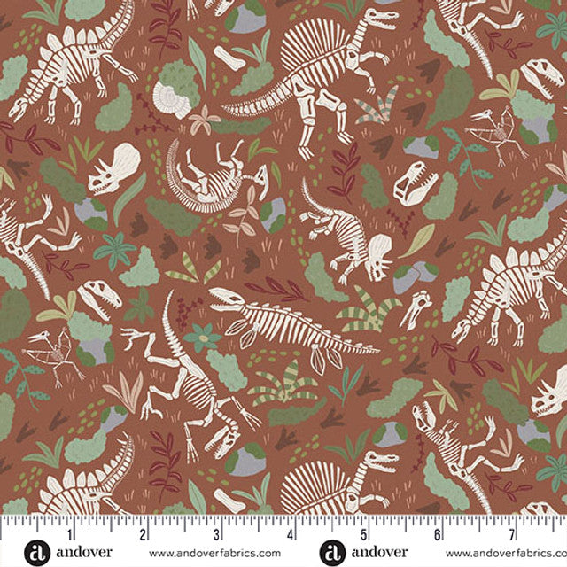 MU-167-V || Prehistoric || Fossils - Brown