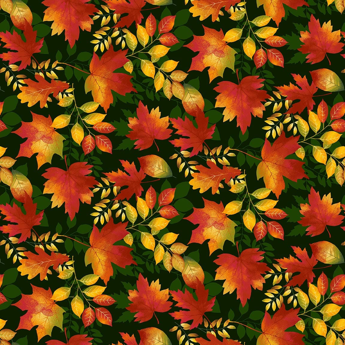 7700-68 Forest || Seeds of Gratitude