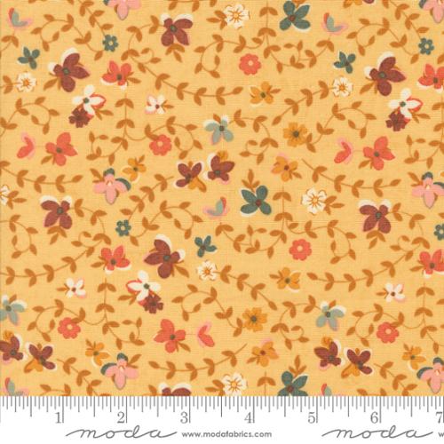 30761 12 Acorn Hollow              Maize