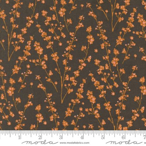 30765 12 Acorn Hollow               Soil