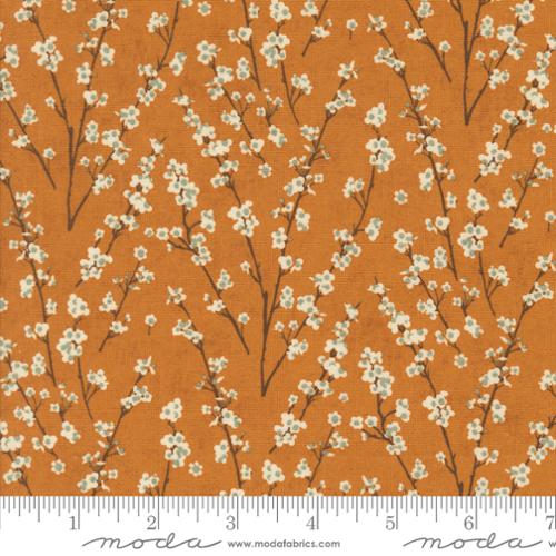 30765 16 Acorn Hollow                Yam