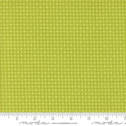 22487 16 Fab Boo Lous        Green Slime