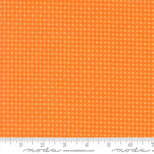 22487 18 Fab Boo Lous            Pumpkin
