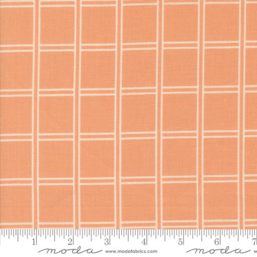 38144 21 Rainier                   Peach