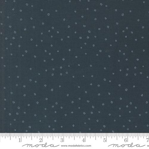 38149 13 Rainier                Deep Sea