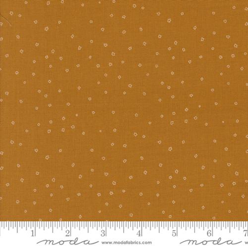 38149 14 Rainier                 Caramel