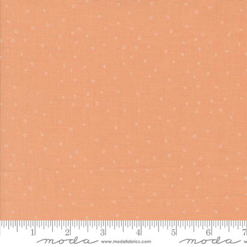 38149 21 Rainier                   Peach