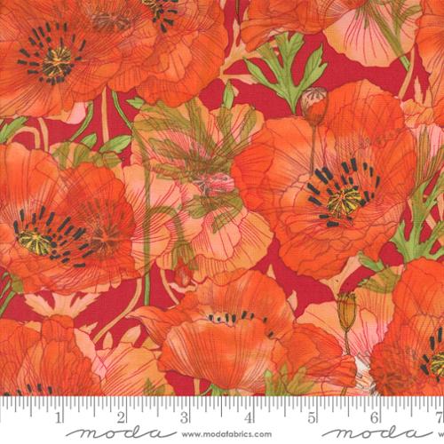48781 23 Superbloom             Geranium
