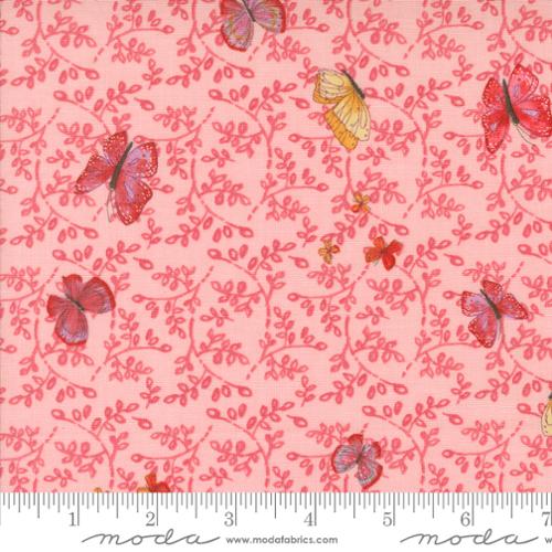 48784 19 Superbloom            Carnation