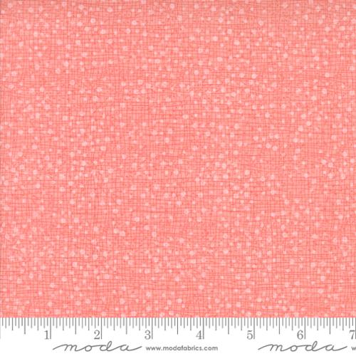 48715 225 Superbloom Dotty Thatched Carna