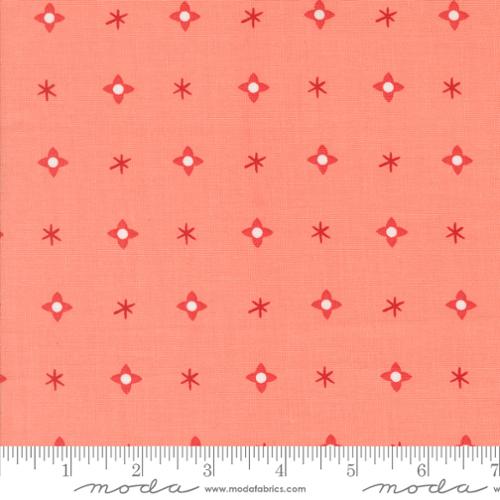 37135 14 Tiny Christmas        Carnation