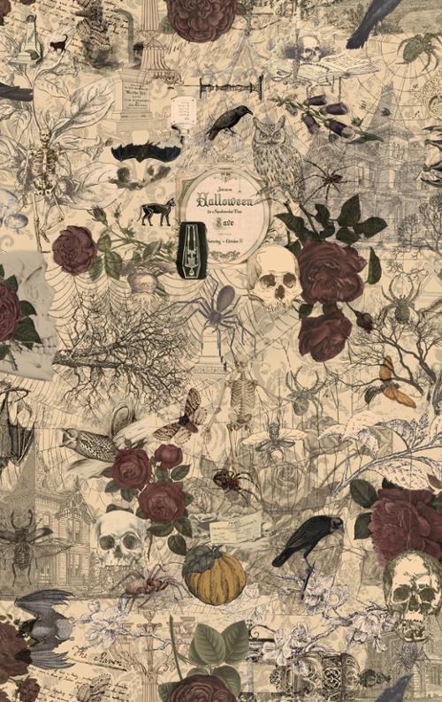 44371 11 3 Sisters Haunted Mansion Multi