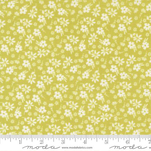 37701 14 Delightfully Yours   Chartreuse
