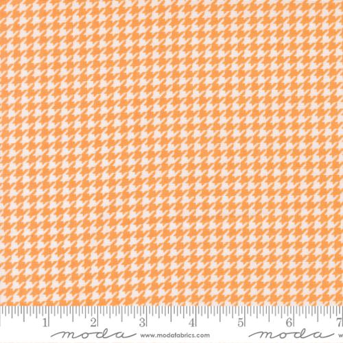 37702 13 Delightfully Yours      Apricot