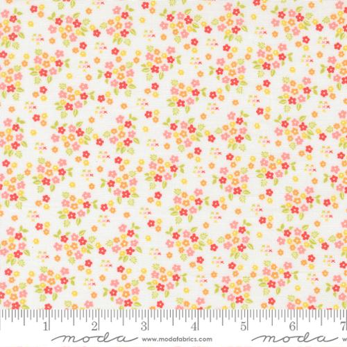 37705 11 Delightfully Yours        Cloud