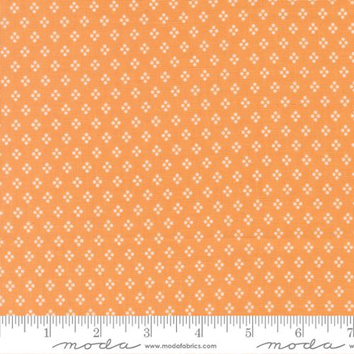 37707 13 Delightfully Yours      Apricot
