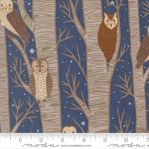 48420 14 Night Owl                  Dusk