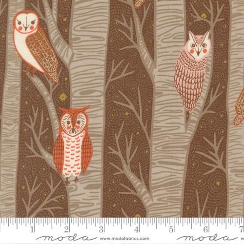 48420 21 Night Owl                 Cocoa