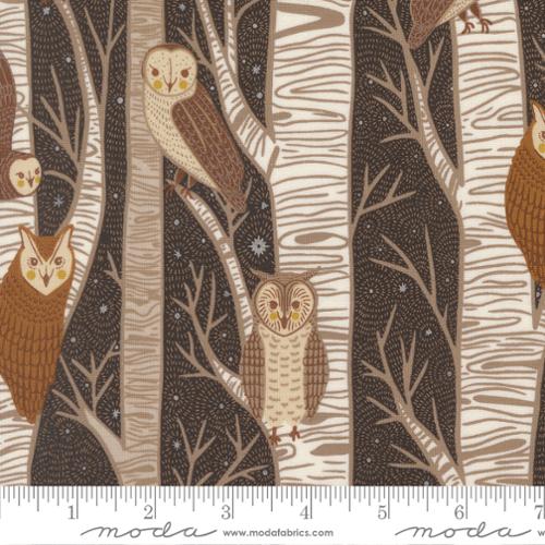 48420 24 Night Owl              Midnight