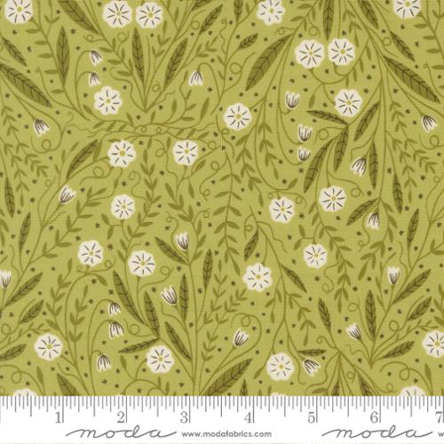 48424 15 Night Owl                  Leaf