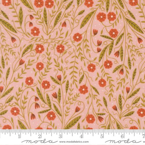 48424 20 Night Owl                 Petal